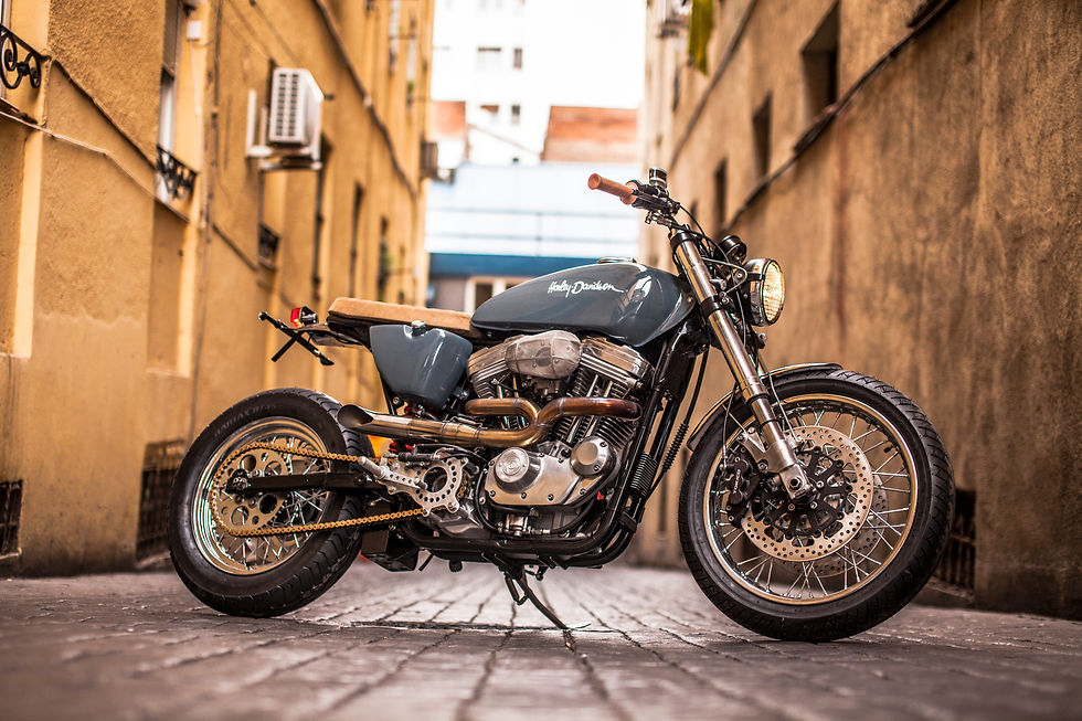 SPORSTER 2018